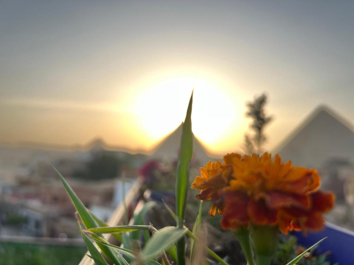 Pyramids Top Success Result Kafret el-Gabal Exteriör bild