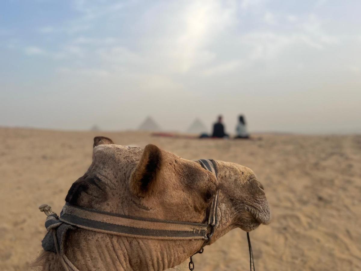 Pyramids Top Success Result Kafret el-Gabal Exteriör bild