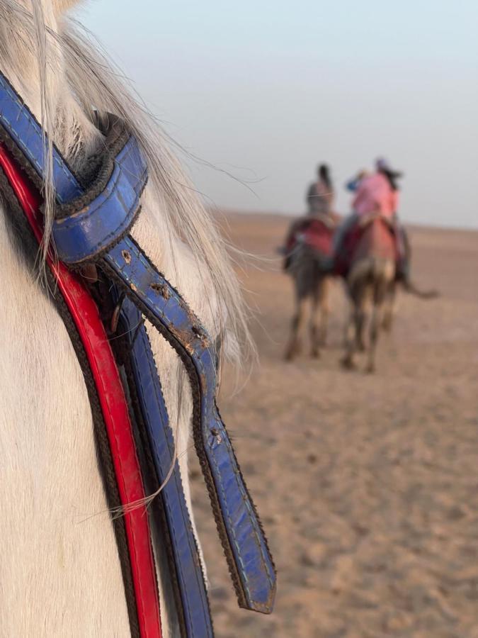 Pyramids Top Success Result Kafret el-Gabal Exteriör bild